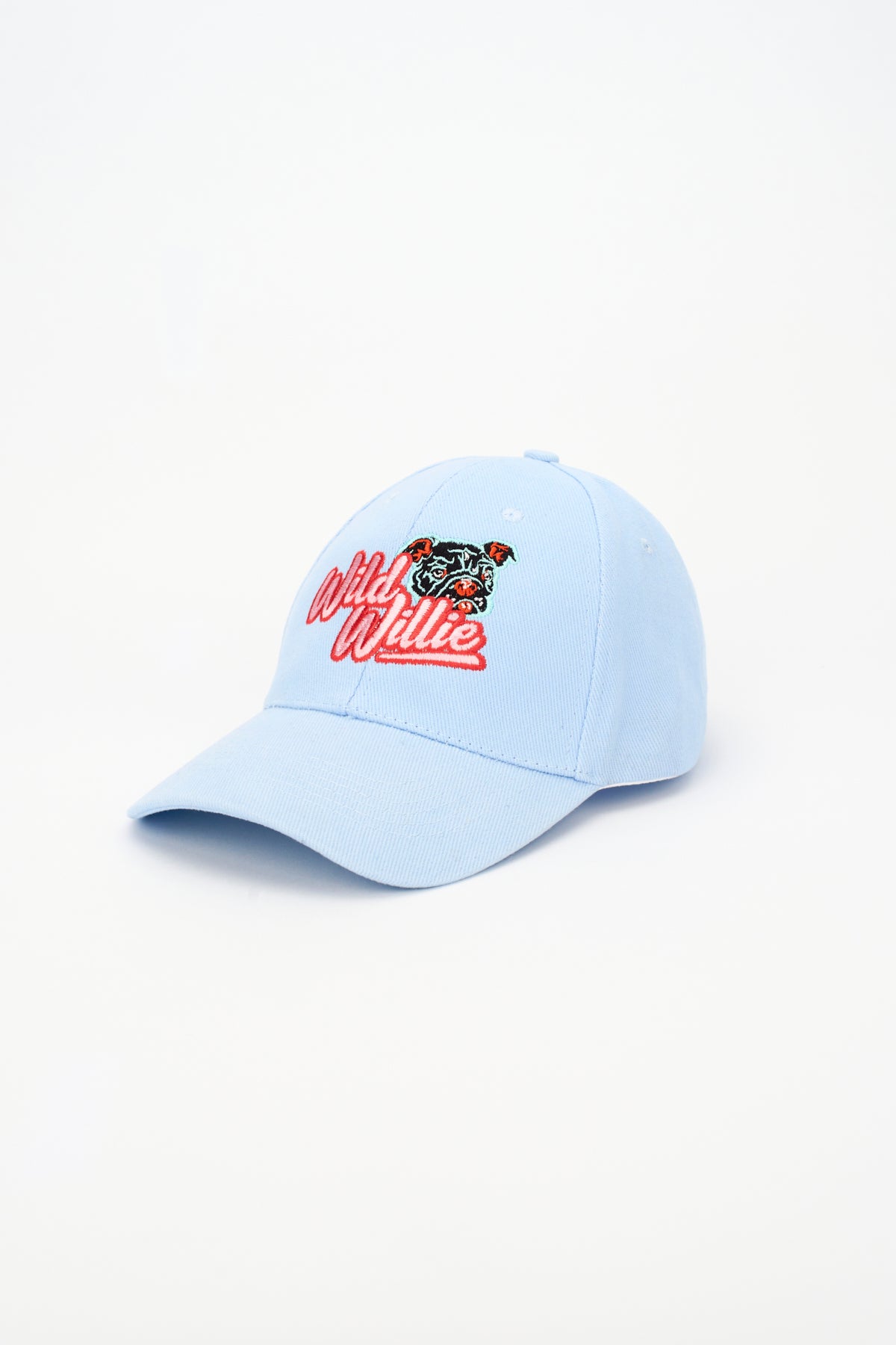 Dirty Laundry Studio Wild Willie Baseball Cap